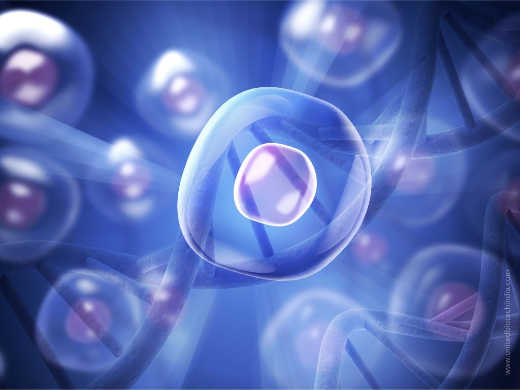 Stem Cell-Based Therapies in India | United Biotech