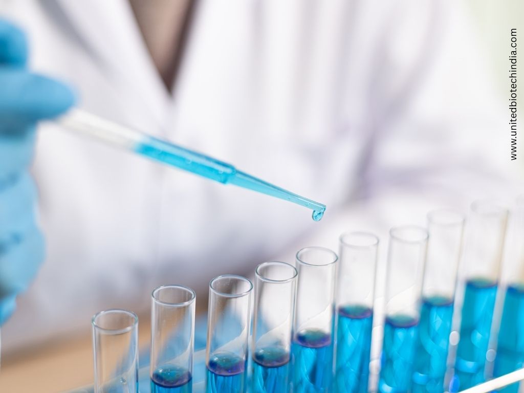 How Export Ready Injectable Manufacturing Is Reshaping Global Hospital Procurement