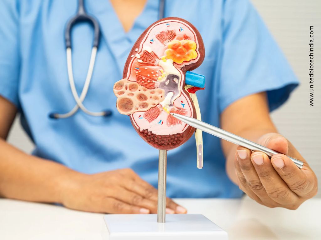 The Rising Global Burden of Kidney Disease and the Pharmaceutical Supply Chain Behind It