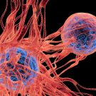 CAR-T-Cell-Therapy-in-India-Next-Gen-Cancer-Treatment-United-Biotech-India