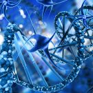 Cold Chain Management in Pharma Ensuring Potency, Safety & Compliance