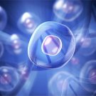 Stem Cell-Based Therapies in India | United Biotech