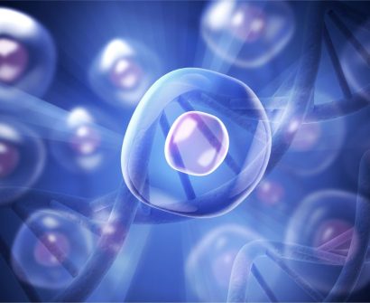 Stem Cell-Based Therapies in India | United Biotech